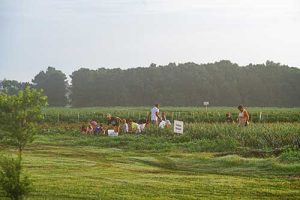 Charlie's U Pik Farm