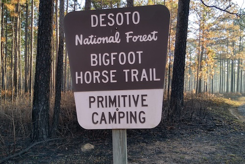 Big Foot horse trails